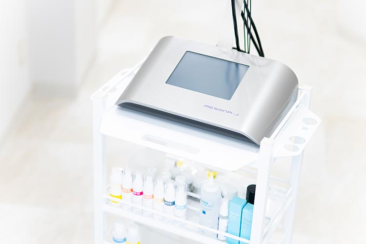 エレクトロポレーション（メソナJ）